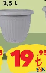 LALE SAKSI ÇEŞİTLERİ 2,5 L
